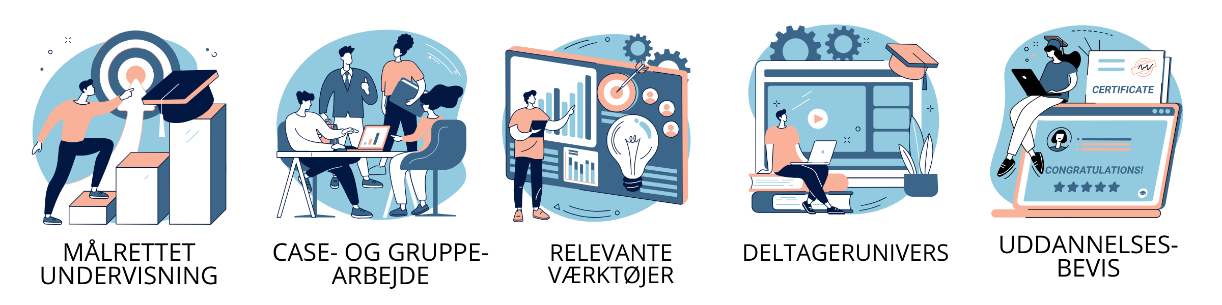 Billede med fem ikoner. Ikoner der repræsentere relevante værktøjer, deltagerunivers, gruppearbejde, ny viden og bevis.